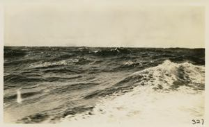 Image: Labrador Coast - From the Harmony- Sept. 1911